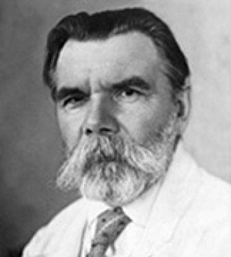 А. Ф. Гедике А. Ф. Гедике